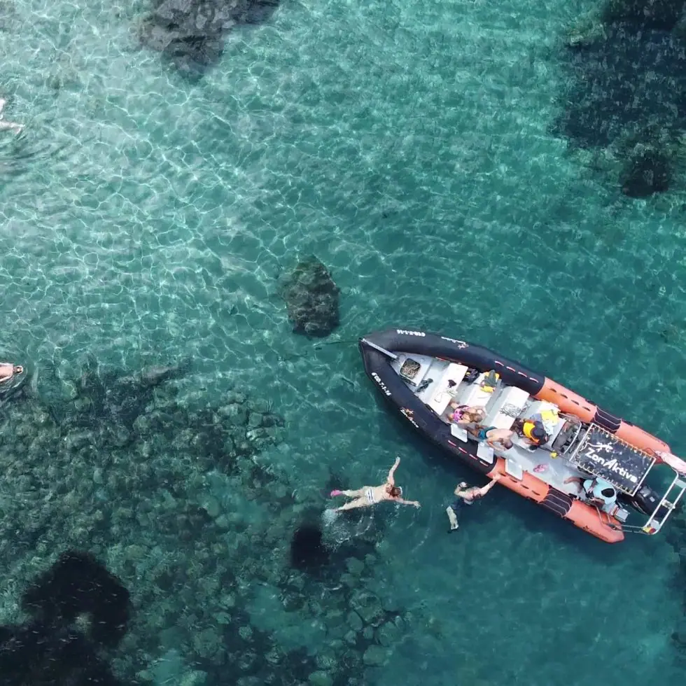Snorkel y buceo de superficie en la excursión en barco Cabo de Gata